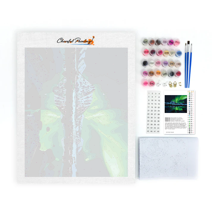 Aurora Mountain - Paint by Numbers