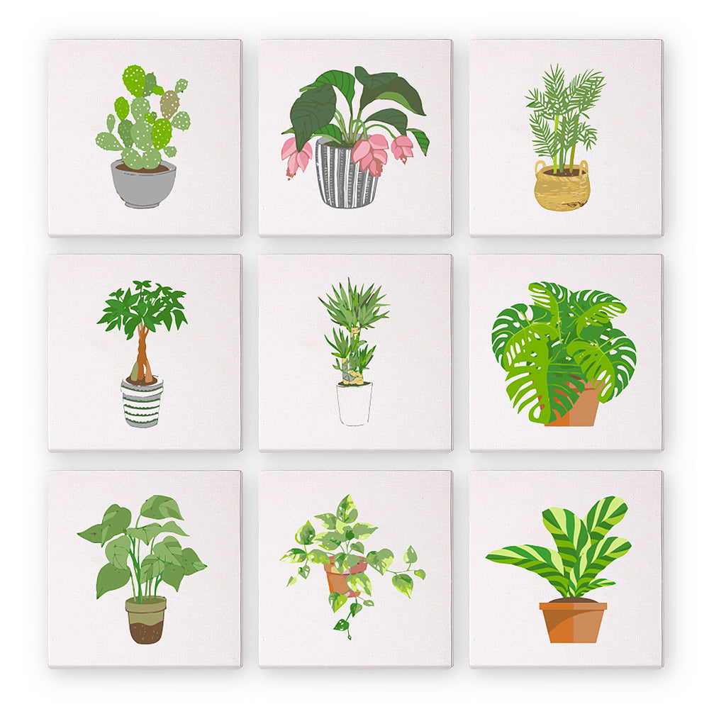 Green Plants (Set of 9)