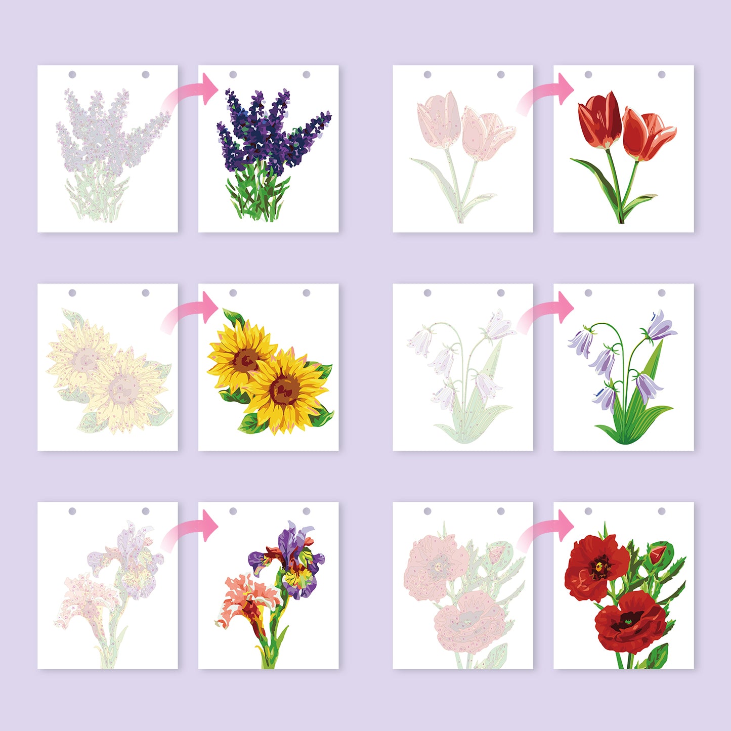 Flowers Edition - 2027 Paint by Numbers Desk Calenda