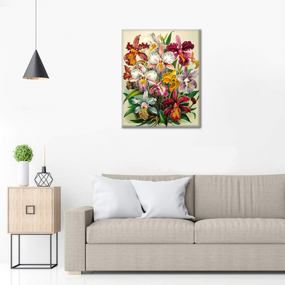 Orchidee Regali - Paint by Numbers