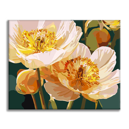 Soft Petals - Paint by Numbers