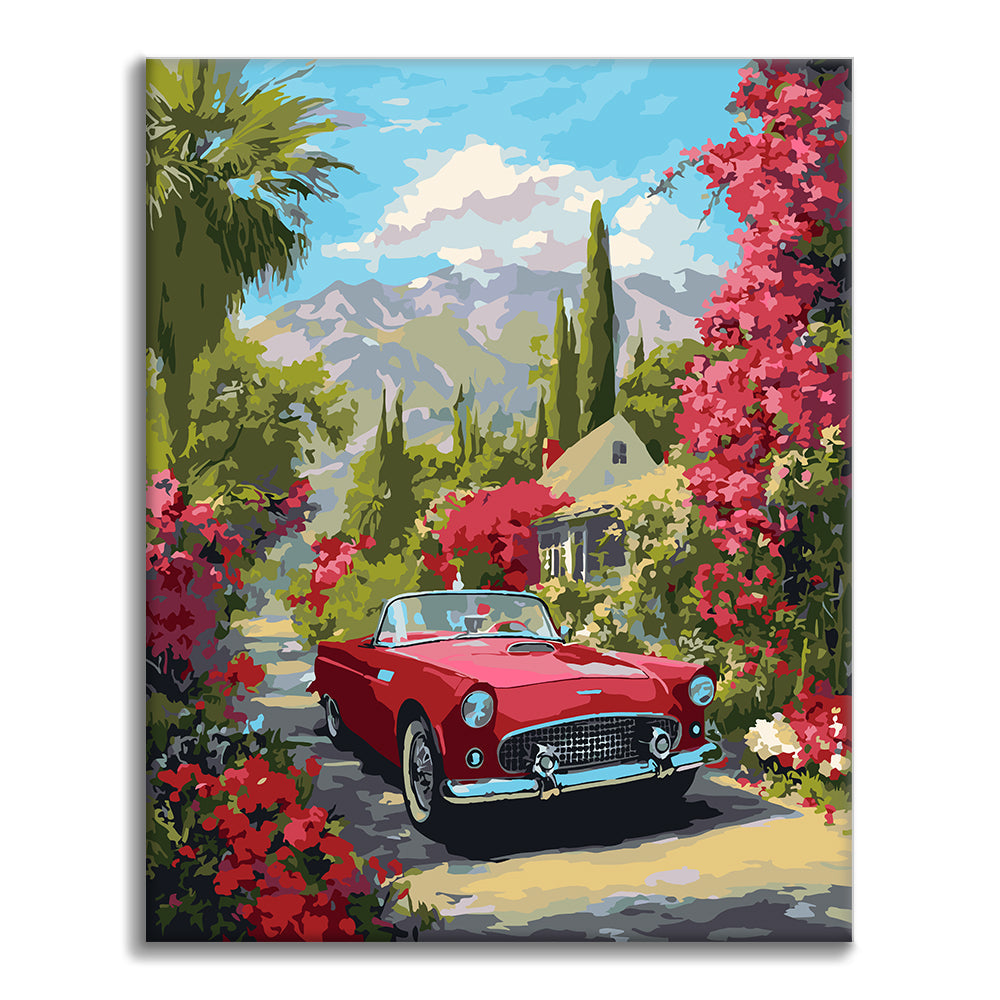 Tuscan Cruise - Paint by Numbers