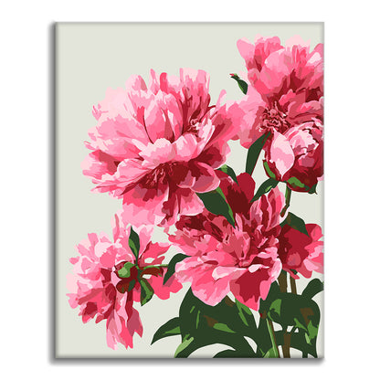 Exquisite Peonies - Paint by Numbers
