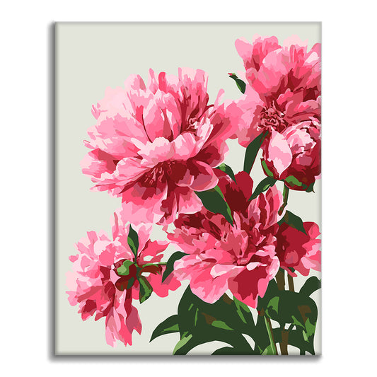 Exquisite Peonies - Paint by Numbers