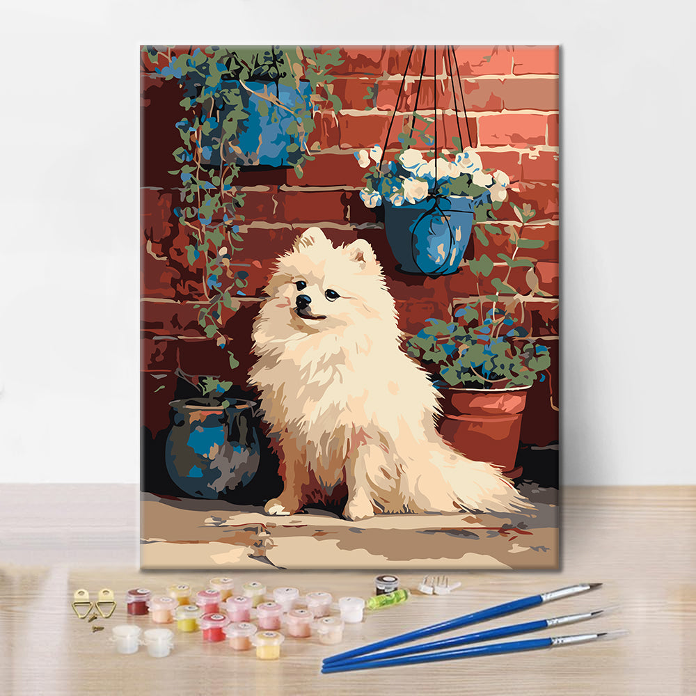 Pomeranian by Brick Wall - Paint by Numbers