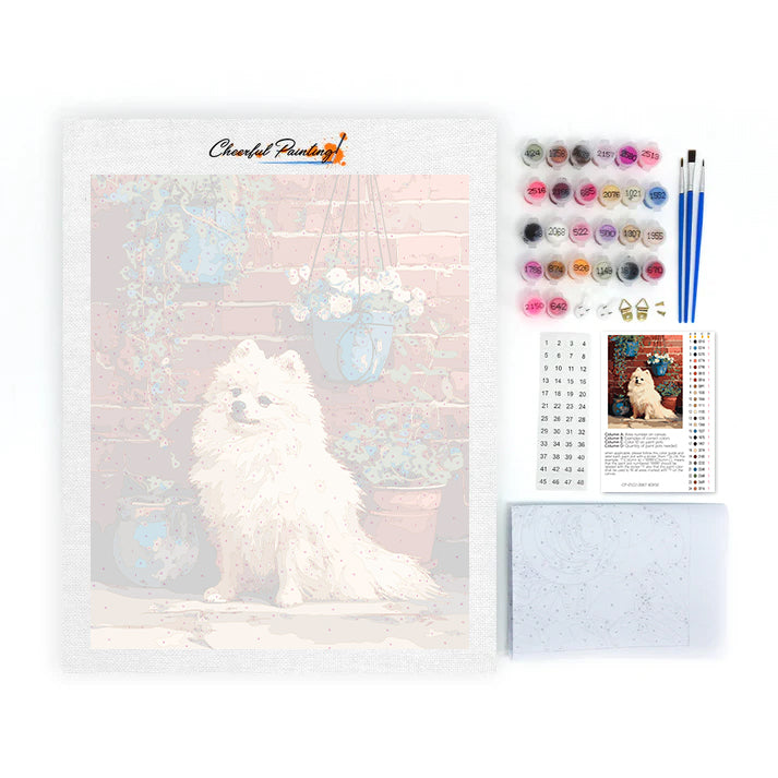 Pomeranian by Brick Wall - Paint by Numbers