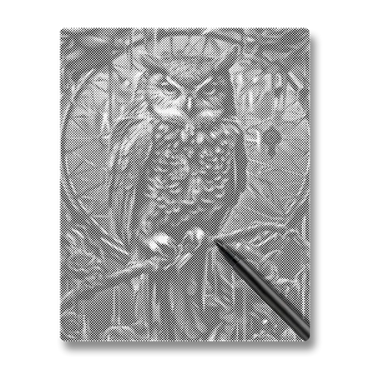 An Owl - Dot Painting