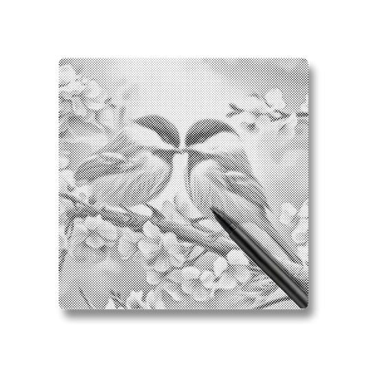 Love Birds - Dot Painting