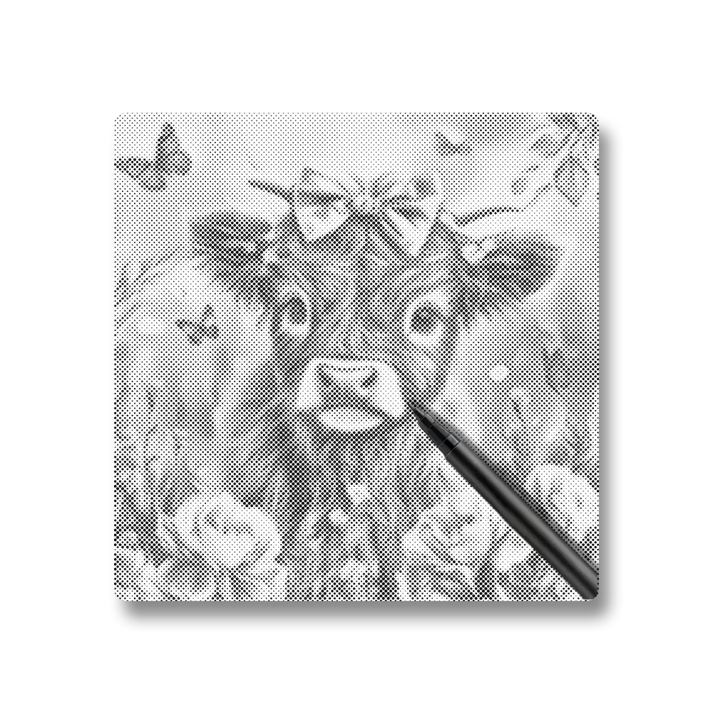 Adorable Highland Calf with Flowers - Dot Painting