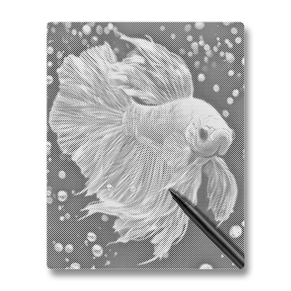 Jewlley Betta Fish - Dot Painting