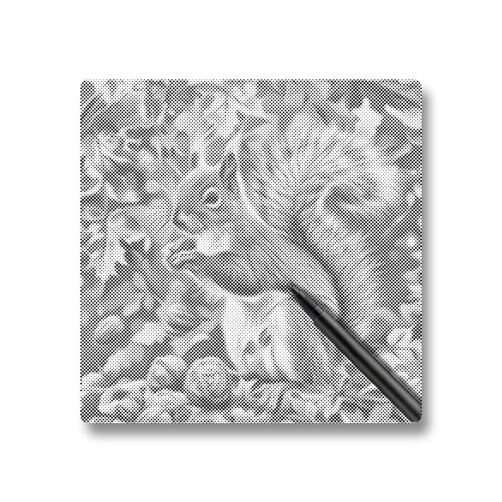 Squirrel In Autumn Leaves - Dot Painting